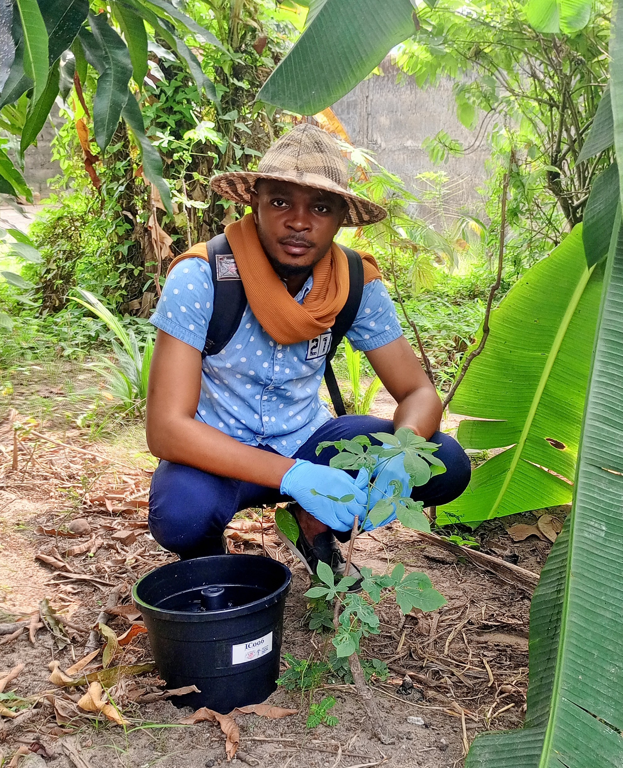 Docteur Trésor ILUKU